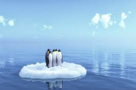 راهکاری برای توقف گرمایش زمین