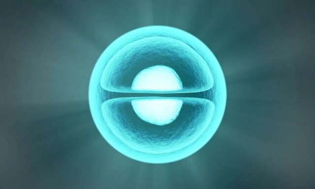 سلول‌هایی که می‌توانند استخوان جدید بسازند