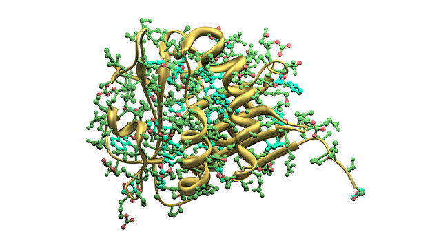طراحی یک آنزیم مصنوعی جدید با کمک مدل‌سازی رایانه‌ای