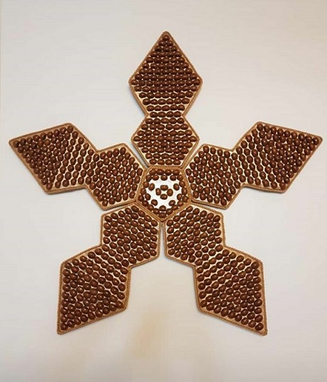 زیباسازی کلاس با همکاری طبیعت