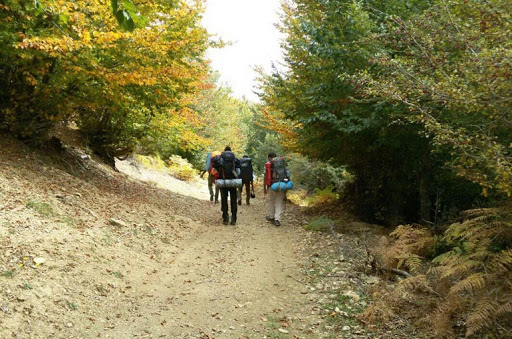 ردپایی در طبیعت به جا نگذاریم
