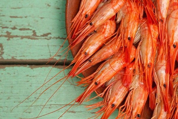 تولید الکترود باتری با پوست میگو