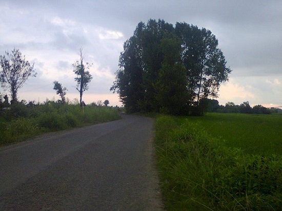 در خانه چگونه به طبیعت کمک می‌کنیم؟