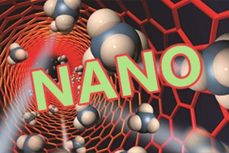 طراحی نانوحاملی برای بارگیری هر مولکول دارویی