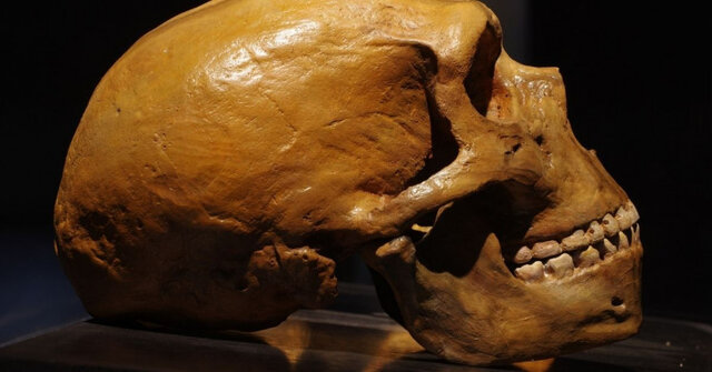 انسان‌های اولیه مانند خرس‌ها به خواب زمستانی می‌رفته‌اند!