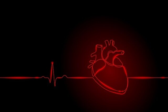 تپش یک مینی‌قلب آزمایشگاهی مانند یک جنین 25 روزه