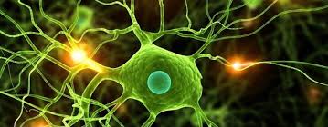 درسنامه‌ی درس زیست شناسی - آمادگی آزمون 3 آذر