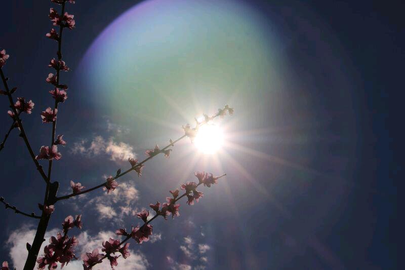 صحیح یا غلط؟!(زیست شناسی)(قسمت‌‌هفتم)