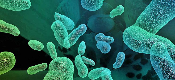 تست های زیست شناسی دهم تجربی (آمادگی آزمون 6 مهر)