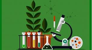 نکات زیست دهم _گفتار یک فصل 3