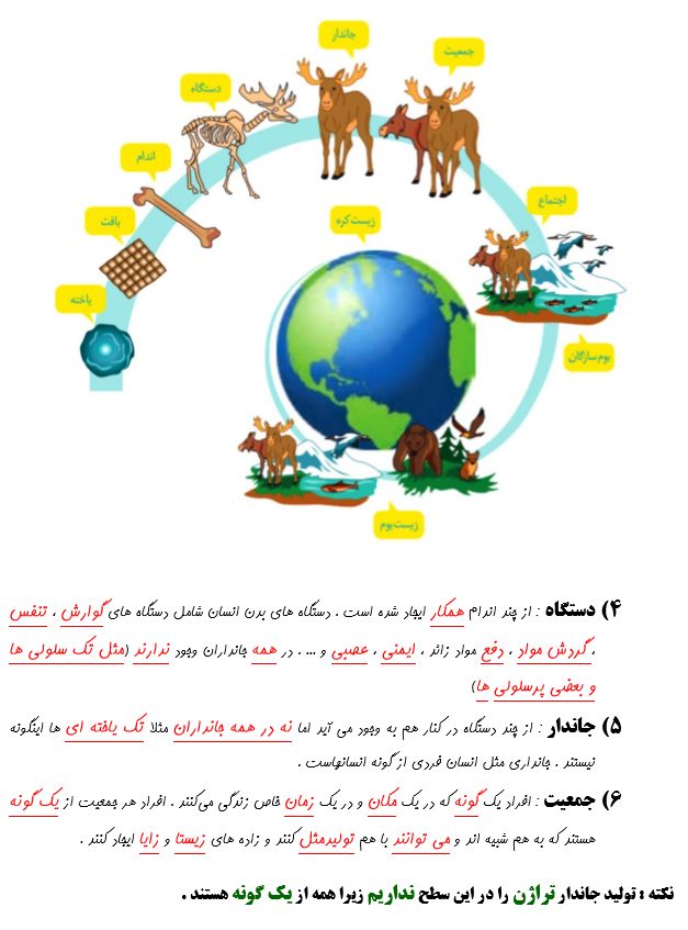 جزوه جمع بندی زیست دهم  تجربی فصل اول