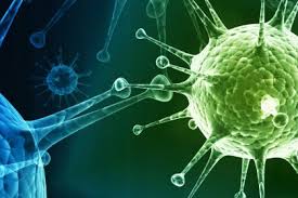 نمونه فصل انتخابی از کتاب آبی زیست یازدهم تجربی