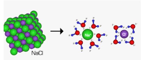 جشانی پور:آیا نمک‌ها به یک اندازه در آب حل می‌شوند؟ - فصل 3