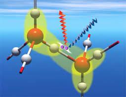 پیوند هیدروژنی - آب، آهنگ زندگی - امیر حاتمیان
