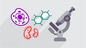 زیست_فیلم گردش مواد