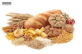 دنیای زنده - مولکول‌های زیستی- محیا اصغری