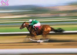 حرکت چیست؟ - مسافت و جابجایی - لیلا خداوردیان