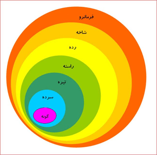 گوناگونی جانداران - گروه‌بندی جانداران- باکتری‌ها و اغازیان