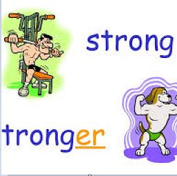 زبان آزمون 15 مرداد-فرشته باقری