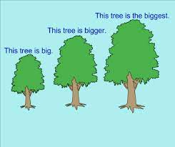 زبان-صفات مقایسه ایی- امیرحسین ایمانی پور