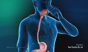 گوارش و جذب مواد در بدن - گوارش غذا در دهان