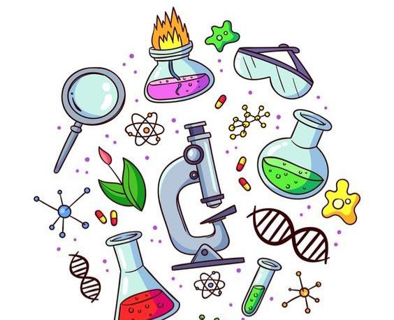 حواس _ حواس ویژه_ حسین شکوه