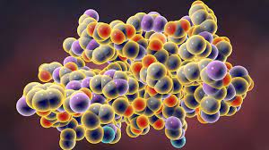 مولکول‌های زیستی - زیست دهم -درس‌نامه - پدیده نعمت پور