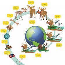 زیست شناسی چیست - زیست دهم - درسنامه - منتخب کتاب پرتکرار