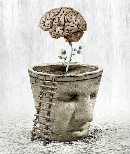 چیستی،ریشه و شاخه‌های فلسفه-درس1و2فلسفه1-خلاصه+تست-فاطمه ایزدی