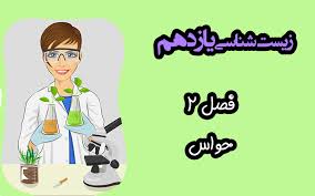 حواس-فصل2-زیست شناسی یازدهم- درسنامه 7آبان-مبینا علیزاده