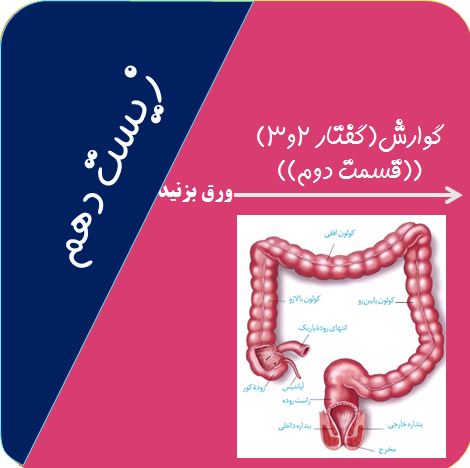 تنوع گوارش در جانداران -گوارش-زیست دهم