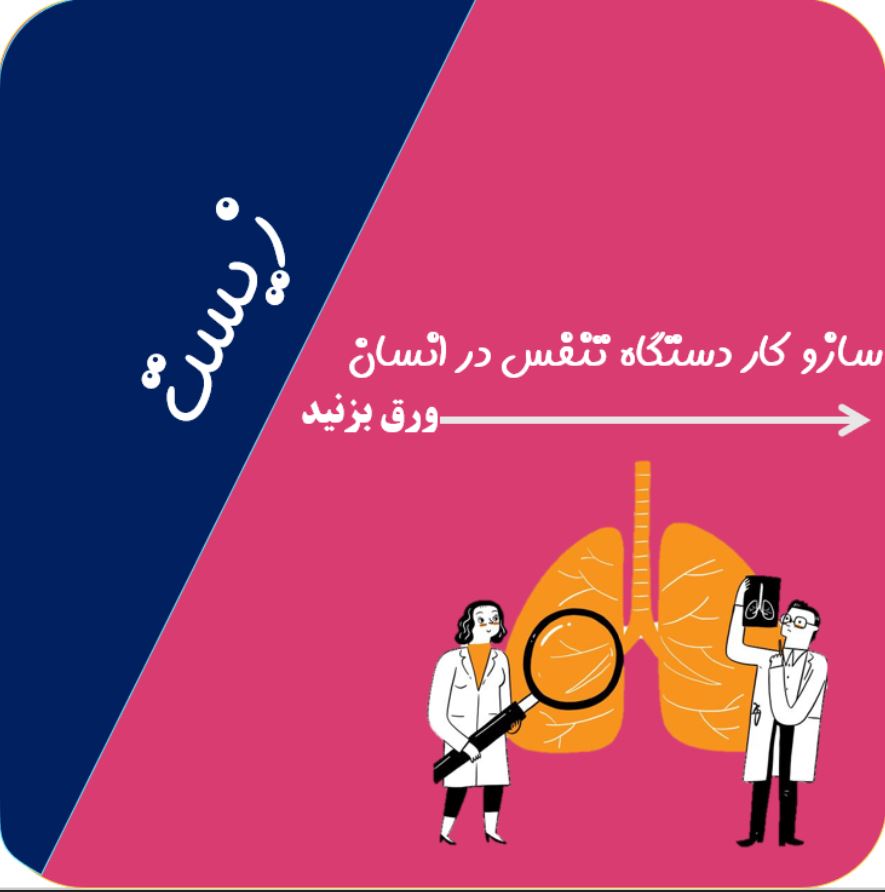 سازوکار دستگاه تنفس در انسان