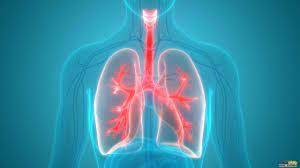 تبادلات گازی - زیست شناسی دهم  - درسنامه  - فاطمه صمدی