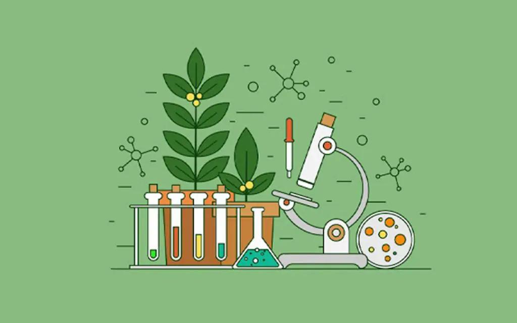 آزمونک تستی زیست-گوارش و جذب مواد-آزمون 4 آذر-امیررضا حکمت نیا