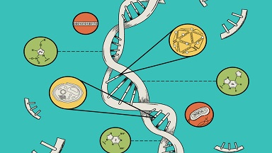 درسنامه زیست آزمون 18 فروردین دهم تجربی