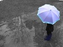 هوا بارانی شد و چترم را جا گذاشتم