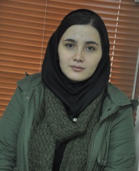 روش مطالعه رتبه221 انسانی در دوران نوروز