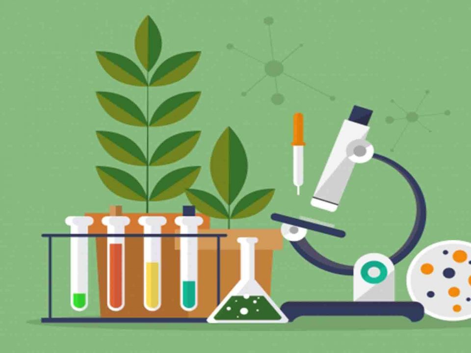 روش مطالعه مبحثی زیست شناسی رتبه25تجربی،آیدا حیدرزاده