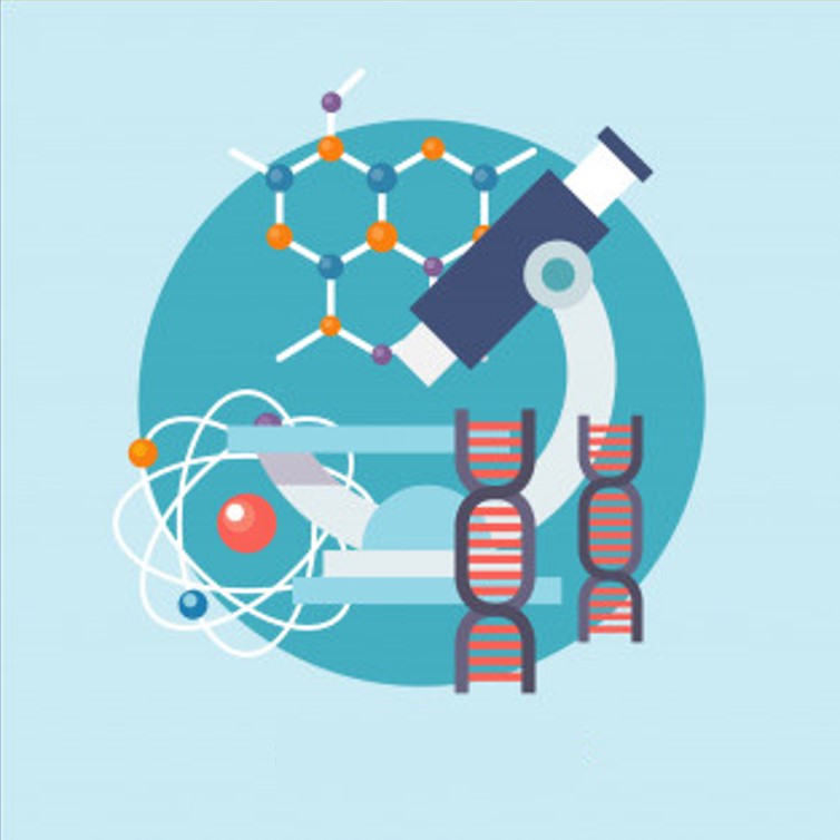 روش مطالعه مبحثی زیست شناسی رتبه453تجربی،محمد مرادی نژاد