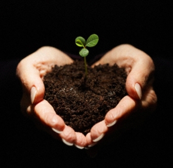 لذت و هیجان نوآوری را تجربه کنید