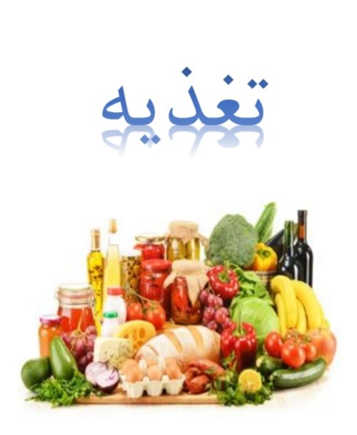 تغذیه کنکور -مشاوره- نکات تغذیه در سال کنکور – علی عباسی جو