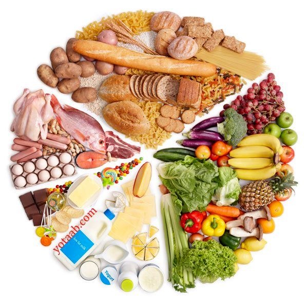 بهترین تغذیه در سال کنکور - ریحانه امینی