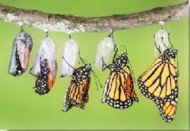 در دوران طلایی نوروز تغییر کنید