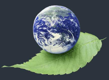 روش موثر و معمول برای مطالعه‌ی زیست‌شناسی