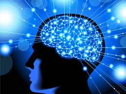 نقشه ذهنی بسازید و حافظه تان را تقویت کنید