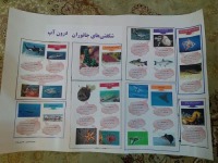 با هم روزنامه دیواری درست کردیم