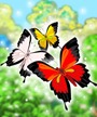 داستان سه پروانه
