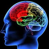 تست هوش: شیر آب و ظرف های متصل به هم