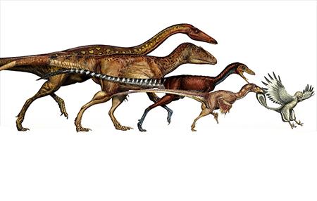 پرواز گران اولیه