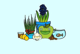 نکات طلایی چند ضلعی‌ها ( مربع و مستطیل و ذوزنقه)